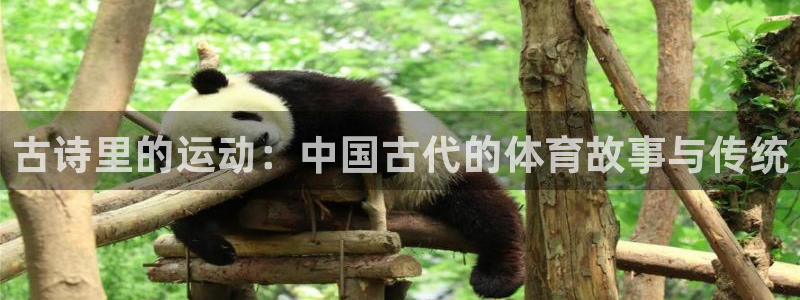 哈哈体育下载