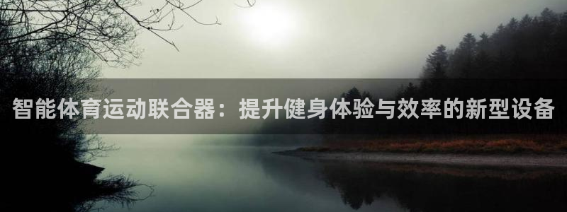 哈哈体育十年