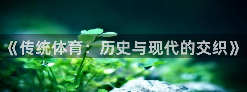 哈哈体育下载