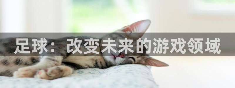 哈哈体育下载
