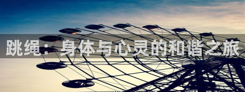 哈哈体育十年