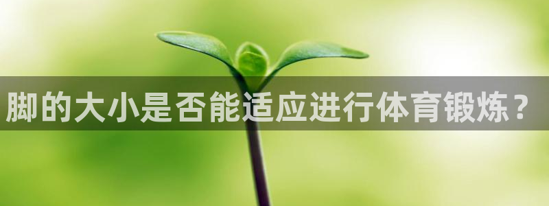 哈哈体育