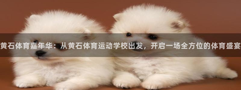 哈哈体育十年