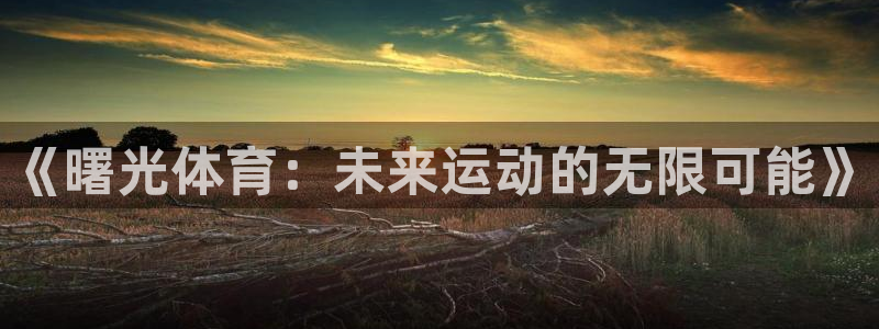 哈哈体育下载