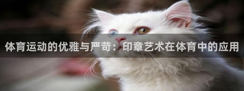 哈哈体育下载