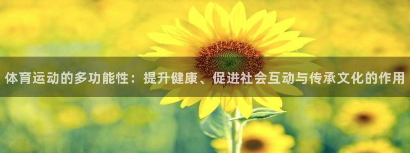 哈哈体育下载